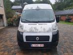 Fiat Ducato, Autos, Particulier, Achat, Fiat