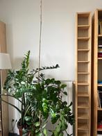 2 GNEDBY Ikea wandmeubels (cd of dvd rek), Huis en Inrichting, Overige materialen, Minder dan 25 cm, Minder dan 150 cm, Met plank(en)