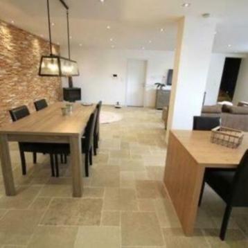 1e keus multiformaat steenplaten uit Frankrijk beschikbaar voor biedingen