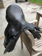 Selle poney, Ophalen, Gebruikt, Dressuur
