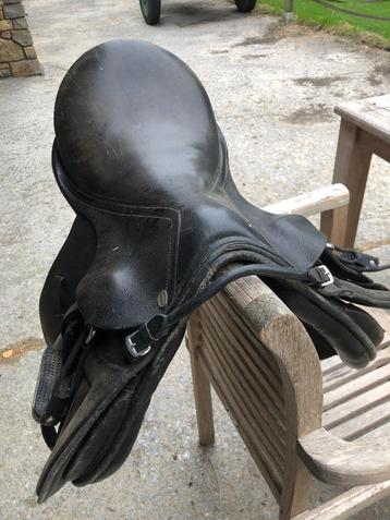 Selle poney beschikbaar voor biedingen