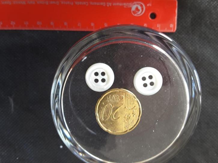 parelmoer knopen 13 mm turkoois 4 gaats B1335N4, Hobby en Vrije tijd, Naaien en Fournituren, Nieuw, Knoop of Knopen, Ophalen of Verzenden