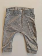 Pantalon taille 62
Donnez-lui un nom, Pantalon, Garçon, Enlèvement ou Envoi, Name it