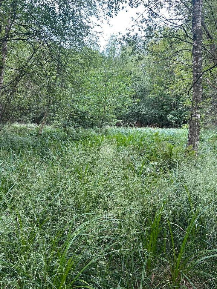 62 are grond in pelt, Immo, Gronden en Bouwgronden, 1500 m² of meer, Verkoop zonder makelaar