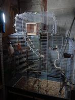 Vogelkooi met accessoires, Enlèvement, Comme neuf, Cage à oiseaux