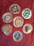 Belle variété de minéraux, fossiles sur perle, Enlèvement ou Envoi