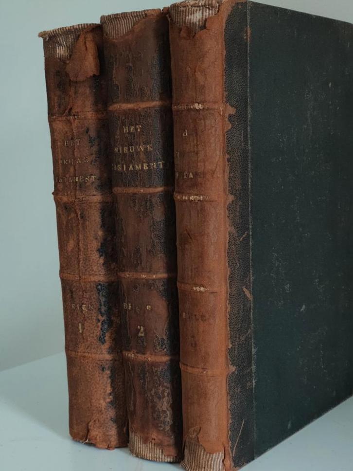Het Nieuwe Testament door professor Beelen 1891-1892, Antiquités & Art, Antiquités | Livres & Manuscrits, Enlèvement ou Envoi