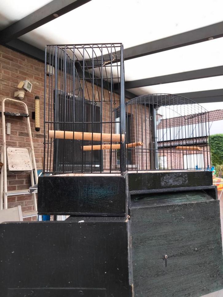 12 kleine houten TT kooien ( koepelkooien ), Dieren en Toebehoren, Vogels | Hokken en Kooien, Gebruikt, Overige typen, Hout, Ophalen