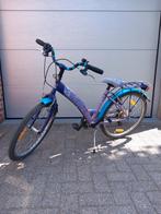 Meisjesfiets 20 inch, Fietsen en Brommers, Ophalen, Gebruikt
