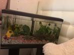 aquarium op staander, Dieren en Toebehoren, Ophalen, Gebruikt, Overige typen