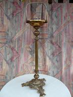 mooie asbalstaander, Enlèvement ou Envoi