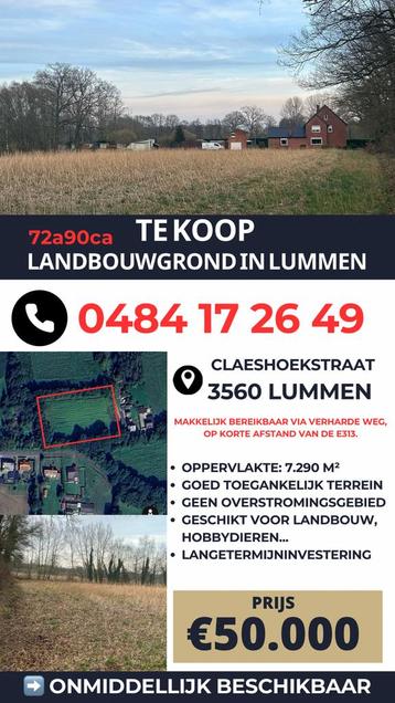 TE KOOP – Landbouwgrond 72are90 in Lummen beschikbaar voor biedingen