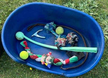 2 hondenmanden , werpstok met ballen en speeltjes  beschikbaar voor biedingen