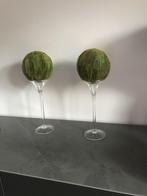 tulpvazen met isomobol gevriesdroogde bladeren - nieuw, Ophalen of Verzenden