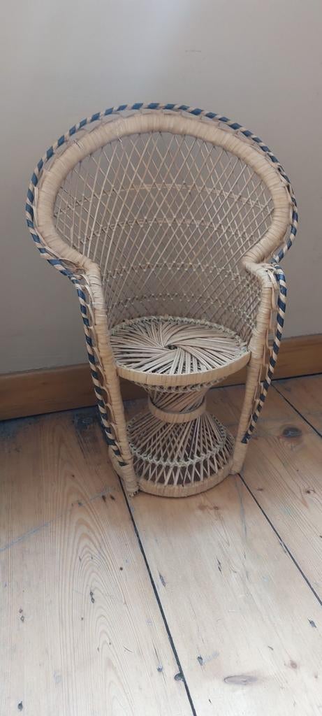 Planten mini pauwstoel, Kinderen en Baby's, Ophalen