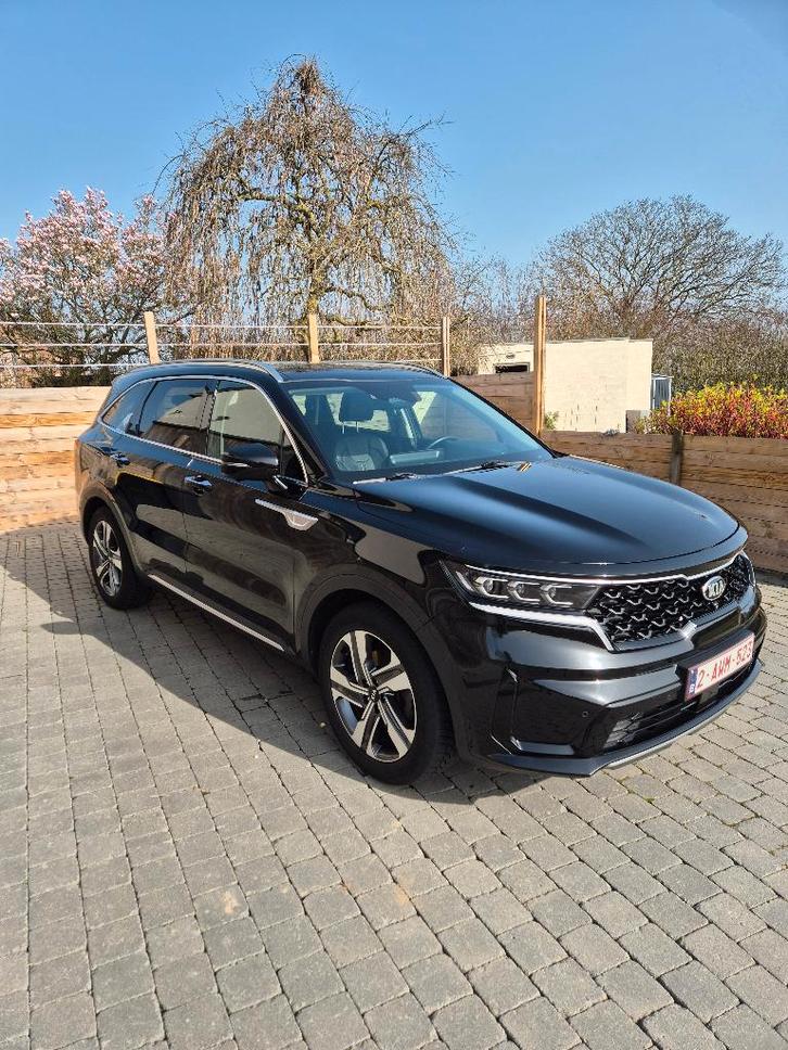 Kia Sorento Sense PHEV 4WD 7pl / GARANTIE KIA 2028/08, Auto's, Kia, Particulier, Sorento, 360° camera, 4x4, ABS, Achteruitrijcamera