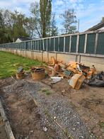 gratuit, Enlèvement