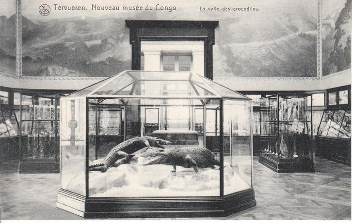 Carte postale Tervueren - salle des crocodiles, Collections, Cartes postales | Belgique, Non affranchie, Brabant Flamand, 1920 à 1940