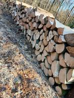 Bois de chauffage feuillus – pour hiver 2026 / 2027, Envoi, Hêtre, Bûches