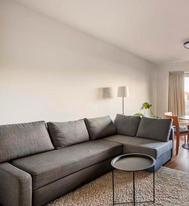 Canapé/canapé Ikea, Maison & Meubles, Canapés | Coins salons complets, Comme neuf, Bois, Enlèvement