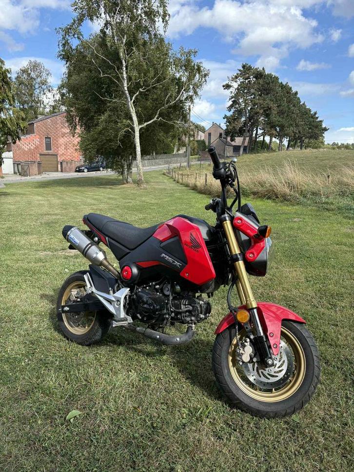 Honda msx 125, Motos, Motos | Honda, Particulier, Enlèvement