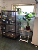 Voliere, Dieren en Toebehoren, Ophalen of Verzenden, Zo goed als nieuw