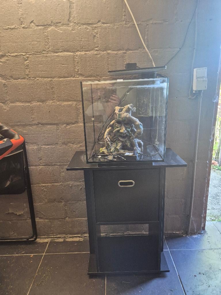Aquarium 60l met voet,  verlichting en alle benodigdheden, Dieren en Toebehoren, Ophalen, Overige merken, Zo goed als nieuw, Leeg aquarium