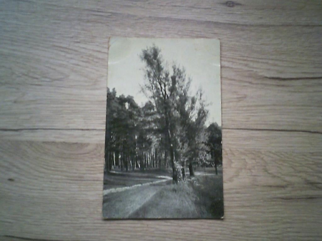 DUFFEL - BRAQUEGNIES ??????, Collections, Cartes postales | Belgique, Enlèvement ou Envoi, 1920 à 1940, Affranchie, Anvers