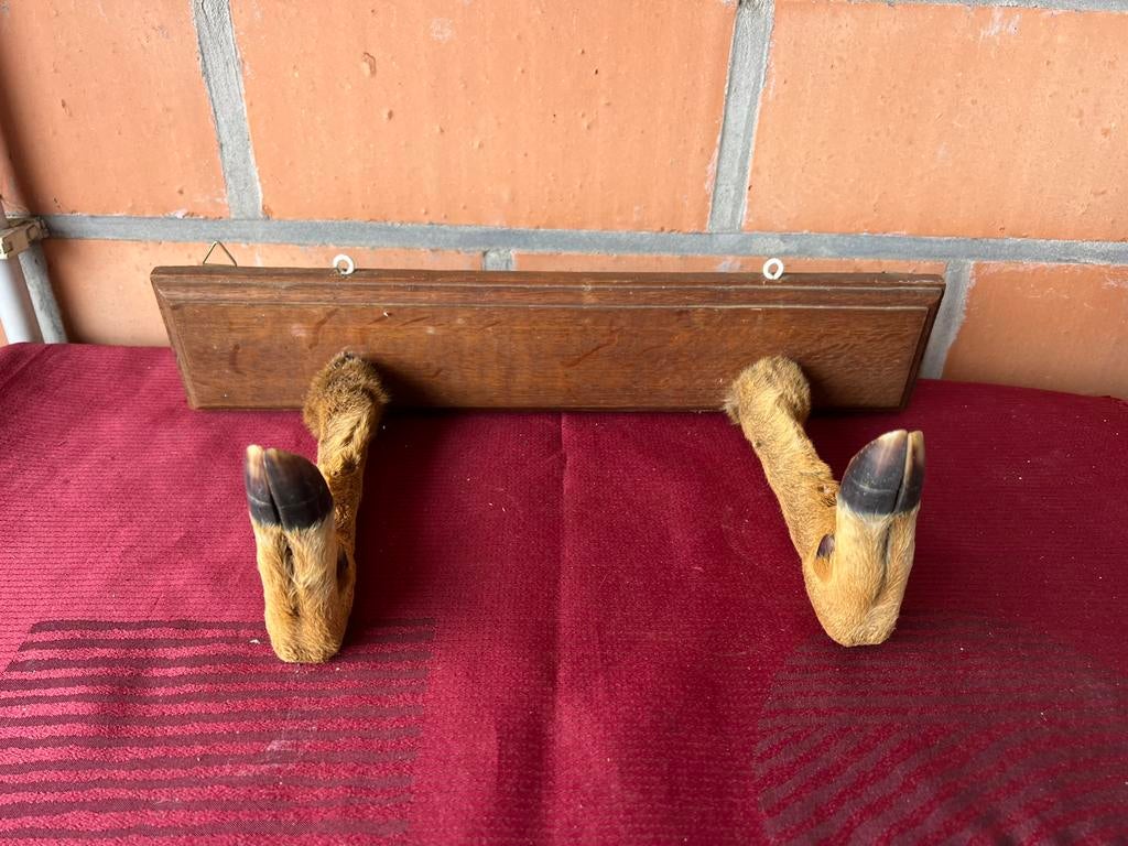 Kapstok met ree poten, Ophalen of Verzenden, Zo goed als nieuw