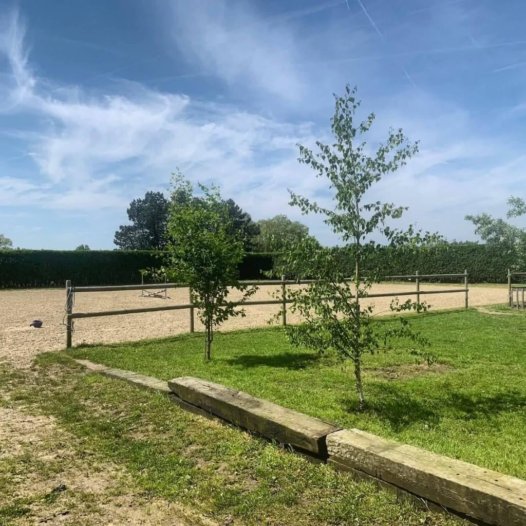 Volpension Elversele - heel de dag buiten & onbeperkt hooi!, Dieren en Toebehoren, Stalling en Weidegang, Stalling