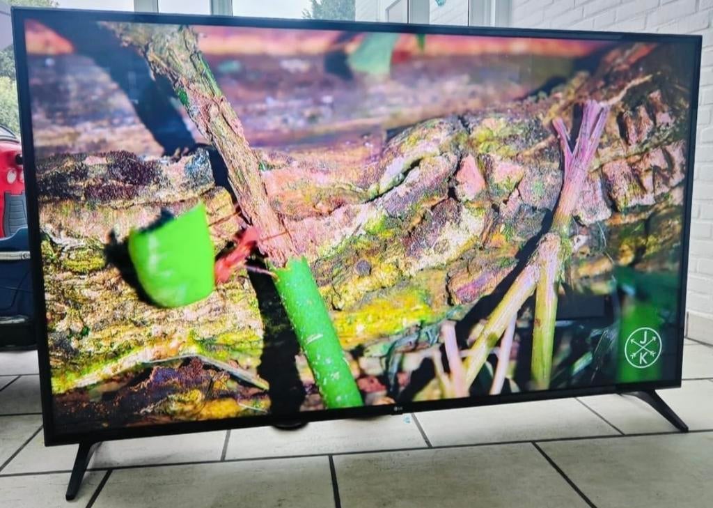 TV intelligent LED LG 165 cm 4K Ultra HD 165 cm à 65 pouces, TV, Hi-fi & Vidéo, Télévisions, Comme neuf, LED, 100 cm ou plus, 4k (UHD)