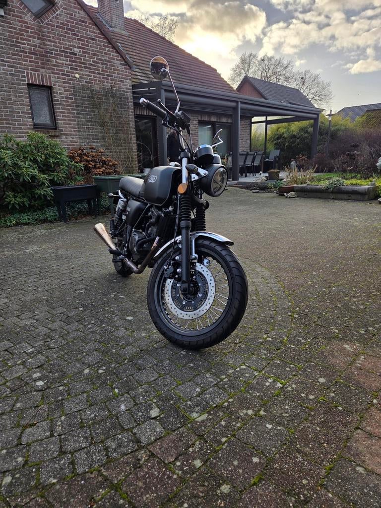 Mash Black Seven, Motoren, Nieuw, Particulier, 125 cc, 11 kW of minder