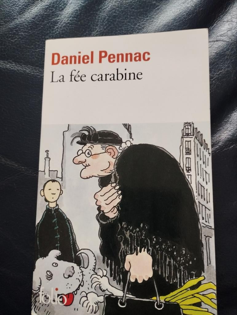 Daniel Pennac La Fée Carabine, Enlèvement ou Envoi