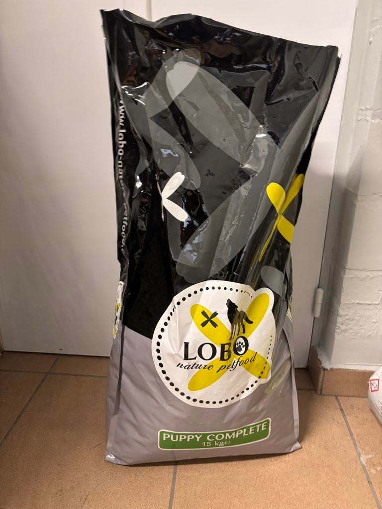 Lobo puppy complete ongeveer 10 kilo, Ophalen, Hond