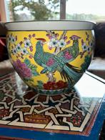 Vase japoné, Enlèvement