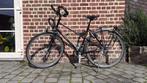 Oerdegelijke Koga Myata Randonneur Trekkingfiets, Gebruikt, Versnellingen, 50 tot 53 cm, Ophalen