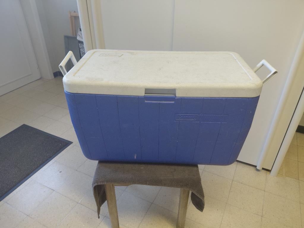 Koelbox koleman, Watersport en Boten, Hengelsport | Algemeen, Ophalen, Gebruikt