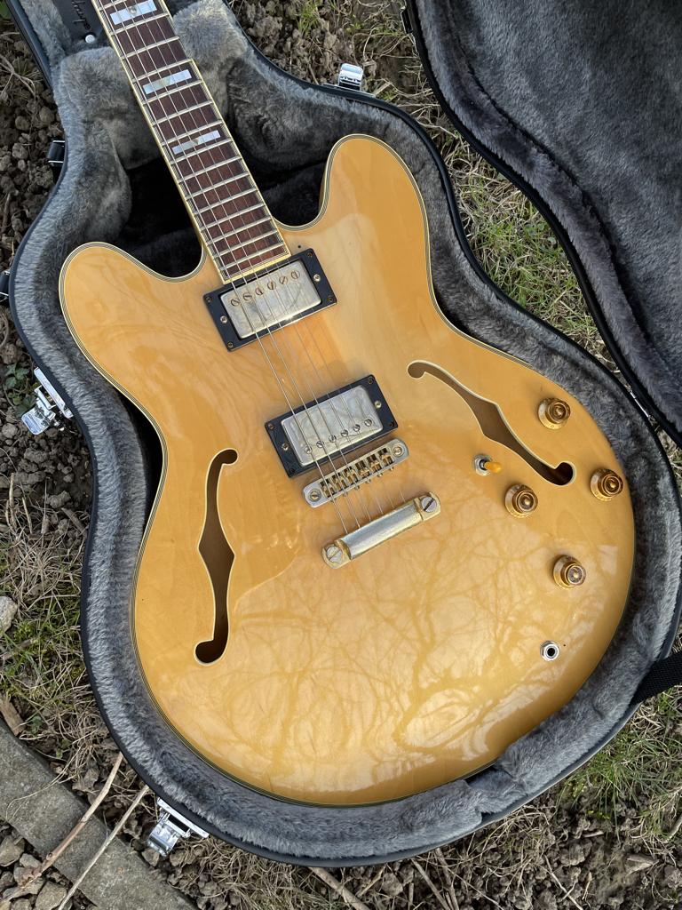 1989 Epiphone Sheraton 2 + étui, Musique & Instruments, Instruments à corde | Guitares | Électriques, Utilisé, Semi-solid body