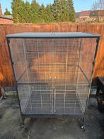 Volière-kooi Parkieten Vogels, Dieren en Toebehoren, Vogels | Hokken en Kooien, Ophalen, Volière