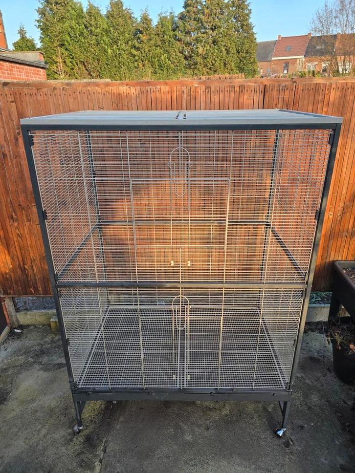 Volière-kooi Parkieten Vogels, Dieren en Toebehoren, Vogels | Hokken en Kooien, Volière, Ophalen