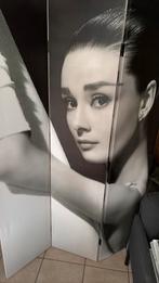 kamerscherm Audrey Hepburn & Marilyn Monroe, Maison & Meubles, Enlèvement, Comme neuf