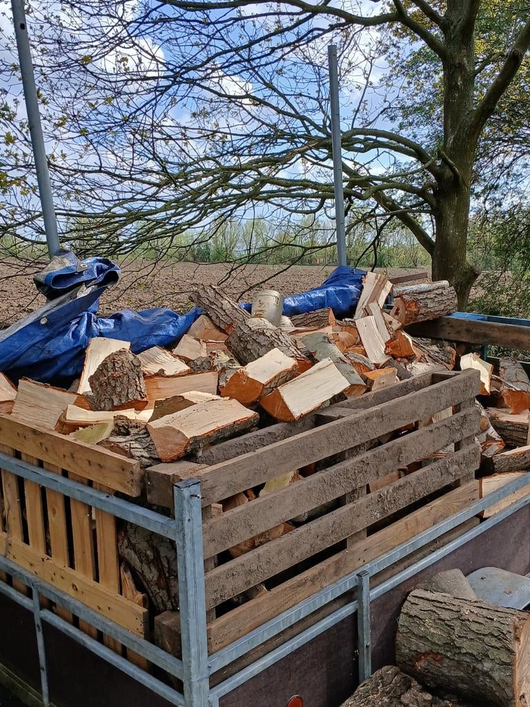 Zwarte es brandhout nat 120 per cup.Zwarte es brandhout nat, Enlèvement