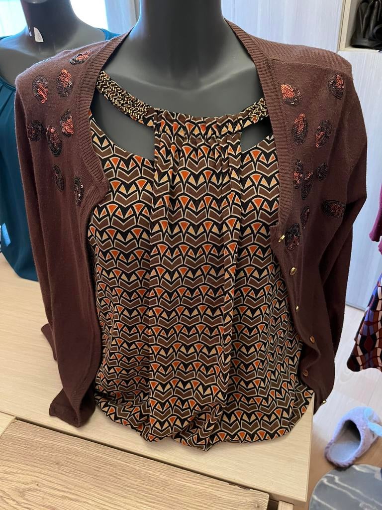 Toffe set bloesje en gilet in zeer mooie staat, Kleding | Dames, Ophalen of Verzenden, Zo goed als nieuw, Maat 38/40 (M)