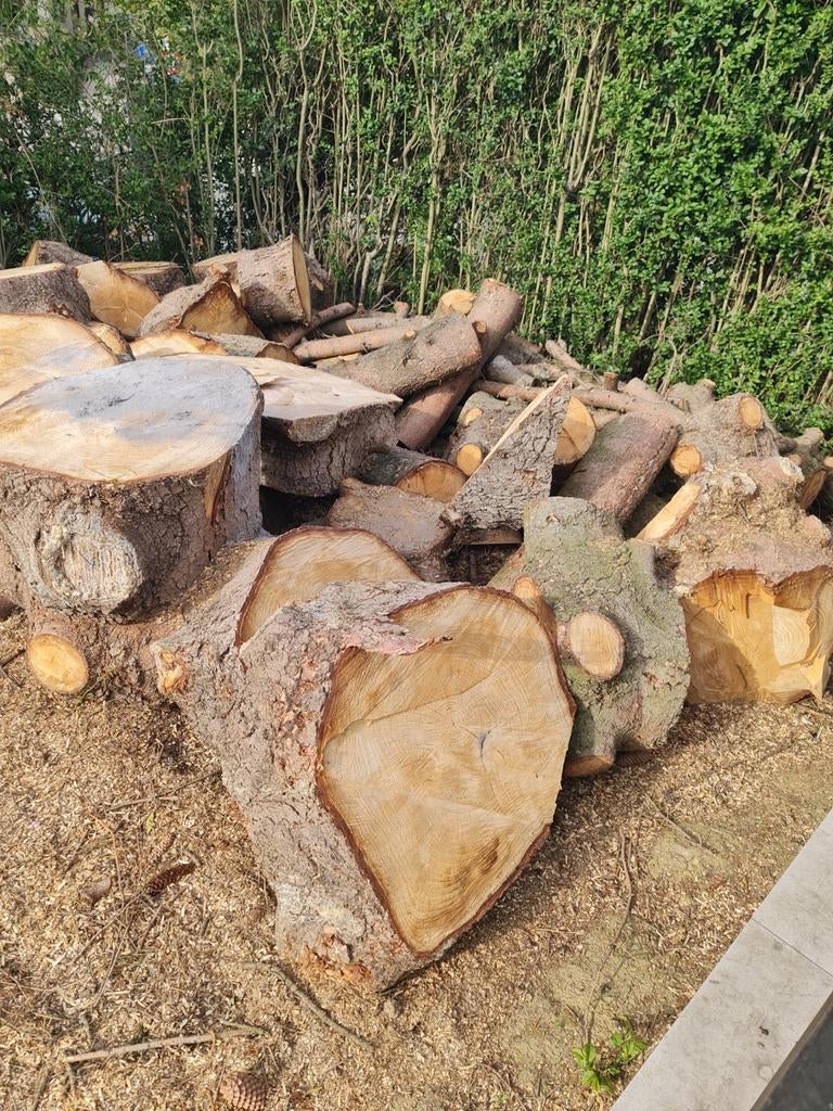 Bois pour cheminée et poile a bois sec et propre, Tuin en Terras, Ophalen