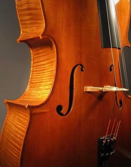 Prachtige cello met gevlamd esdoornhout, Muziek en Instrumenten, Ophalen, Zo goed als nieuw