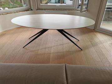Ovalen eettafel beschikbaar voor biedingen
