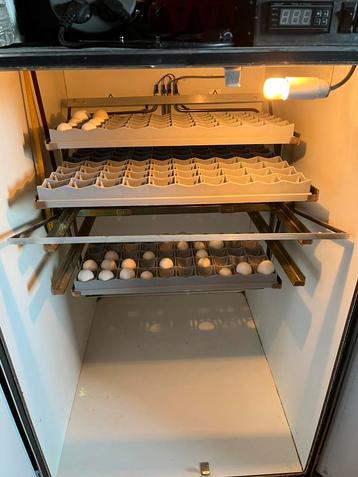 Uitbroedservice beschikbaar voor biedingen