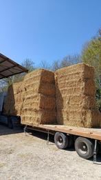 Stro, Zakelijke goederen, Landbouw | Veevoer, Ophalen of Verzenden