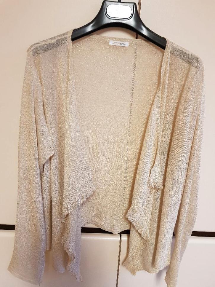 5 jaquetjes voor dame, Kleding | Dames, Jassen | Winter, Zo goed als nieuw, Maat 42/44 (L), Blauw, Ophalen