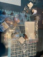 Schelpen, Ophalen of Verzenden, Schelp(en)